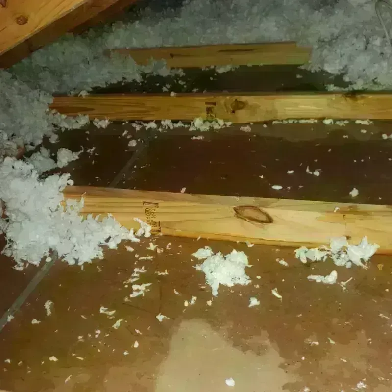 Attic Water Damage in Granville, NY