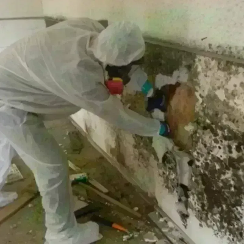 Mold Remediation and Removal in Granville, NY